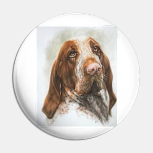 Bracco Italiano in Color Pin