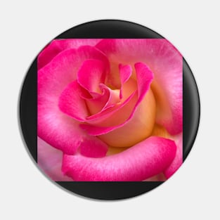 Love as a Pink Rose Pin