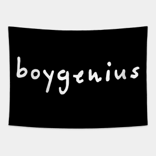 boygenius Tapestry