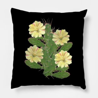 Cactus - cactus flower - flower - flora in Africa Pillow