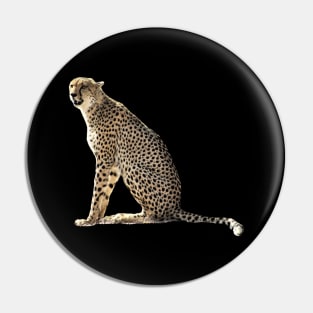 Cheetah in Kenya / Africa Pin