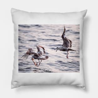 Fighting Gulls Pillow