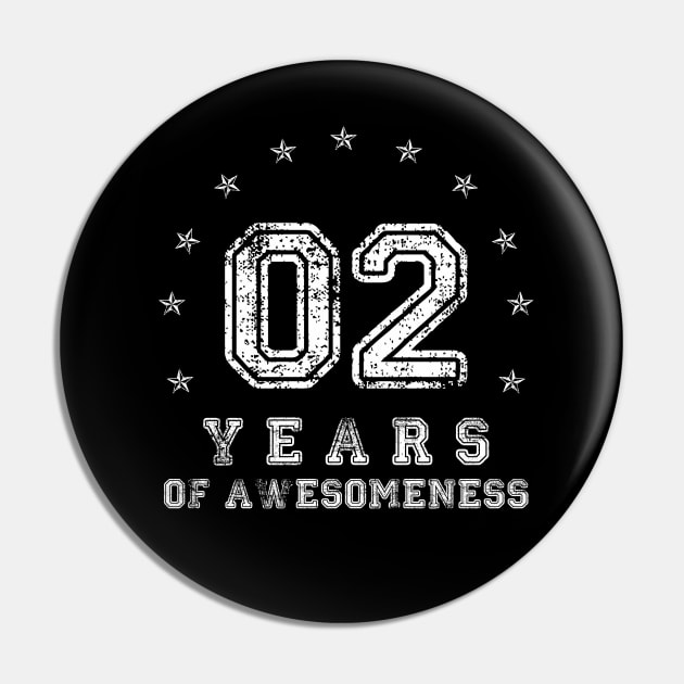 Vintage 2 years of awesomeness Retro 2017 Birthday Gift Pin by opippi