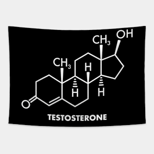 Testosterone Red Pill Masculinity Gym Bodybuilder Gift Tapestry