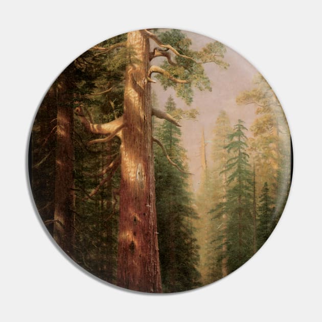 Great Trees, Mariposa Grove, California by Albert Bierstadt Pin by MasterpieceCafe