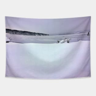 Great White North - A Very Cold Day on a Northern Canadian Lake Tapestry