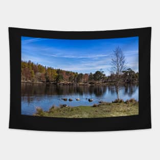 Tarn Hows Tapestry