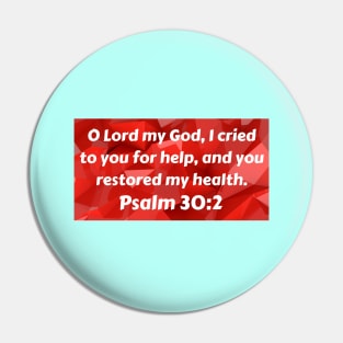 Bible Verse Psalm 30:2 Pin