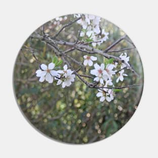 Almond tree branches and flowers Pin