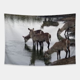 My African Safari - Waterbuck by the water Tapestry