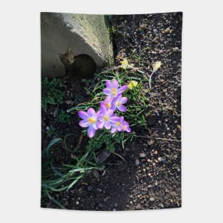 Tiny Cat With Crocuses Tapestry