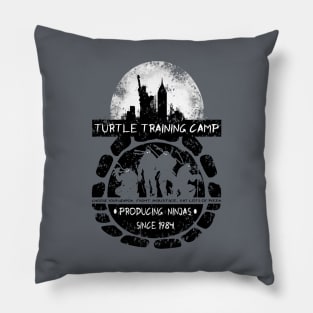 Turtle Training Camp Pillow