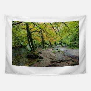 Autumn Golitha falls walk Tapestry