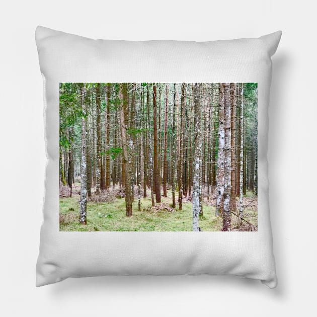 Enchanted Forest Pillow by ephotocard