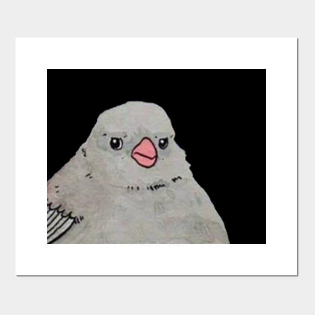 Annoyed Bird Meme Annoyed Bird Posters And Art Prints Teepublic