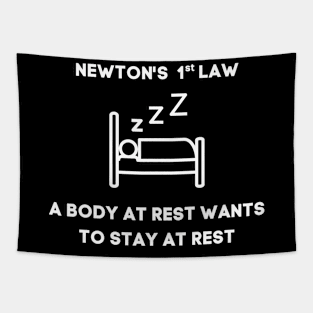 Newton's 1st Law Tapestry