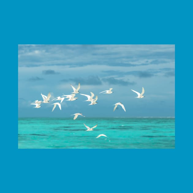 BIRDS OVER THE OCEAN by The Boho Cabana