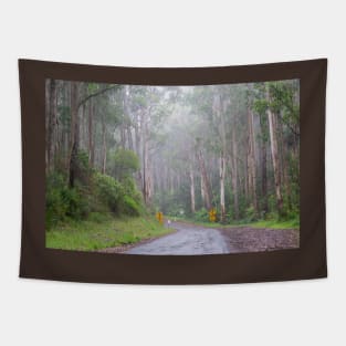 Foggy Great Ocean Road, Australia. Tapestry