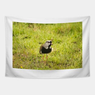 32218 lapwing Tapestry