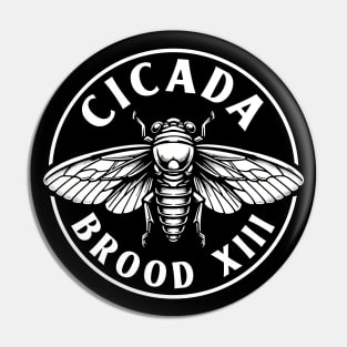 Cicada Brood XIII Pin