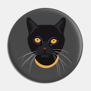 Black Cat Pin