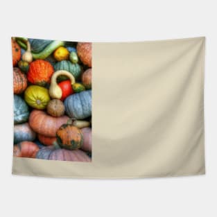 Just A Girl Who Loves Pumpkins Photograph Tapestry