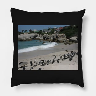 Boulders Beach, Table Mountain National Park, South Africa Pillow