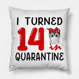 I Turned 14 In Quarantine Funny Cat Facemask Pillow