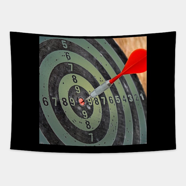 Shoot on target Tapestry by daengdesign66