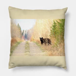 Black Bear on the Trail Pillow