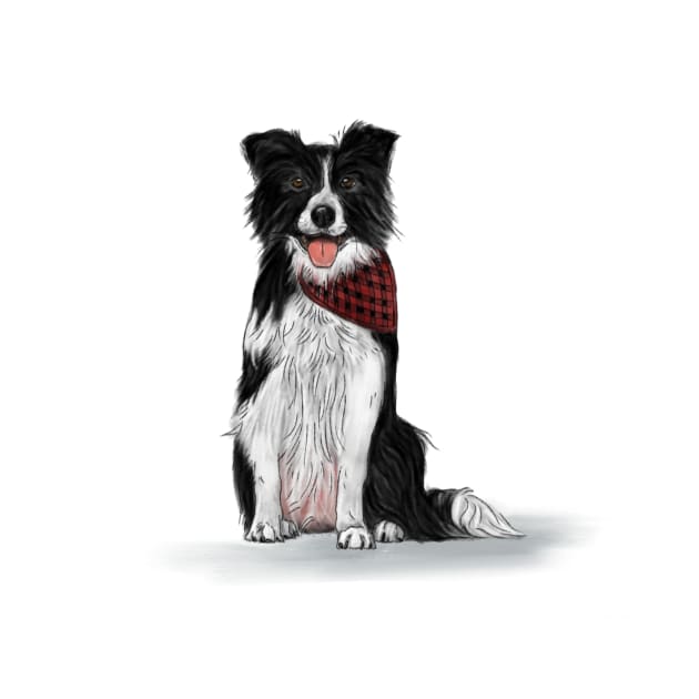 Border Collie by cheekymare