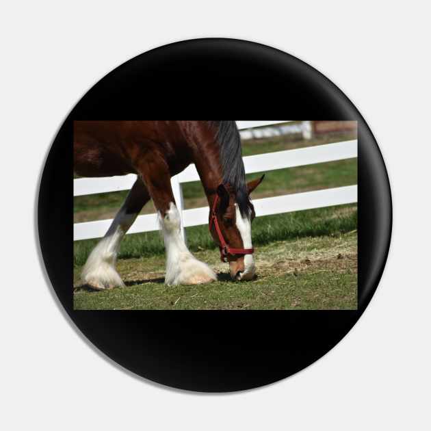 Clydesdale Pin by MarieDarcy