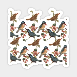 Birds Magnet