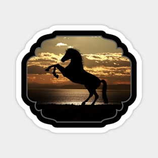 Wild Horse Magnet