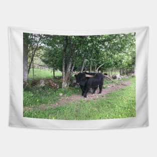 Scottish Highland Cattle Bull 2403 Tapestry