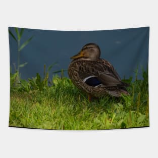 Duck in the grass Tapestry