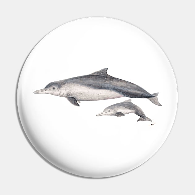 Australian humpback dolphin Pin by chloeyzoard