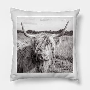 Highland Cow Pillow