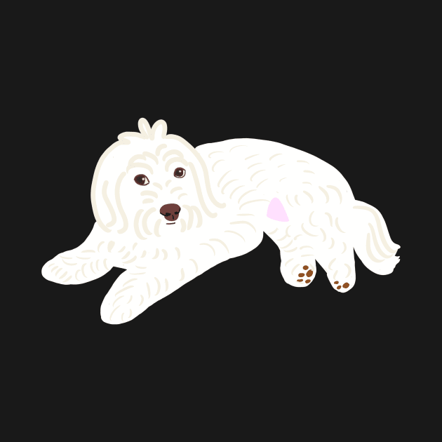 Cute Maltipoo by PatternbyNOK