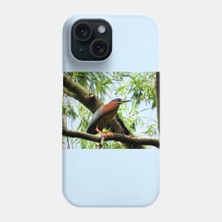 Green Heron-2 Phone Case