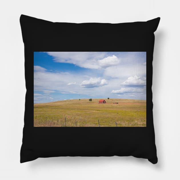 Ranch scene. Pillow by sma1050