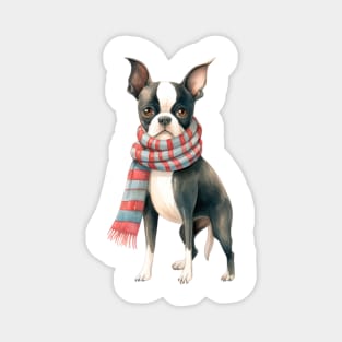 Boston terrier winter dog Magnet