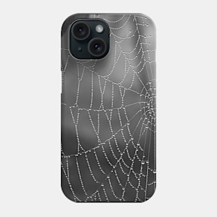 Spider Web in the Rain Phone Case