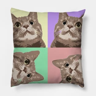 Kitten Blur Pillow