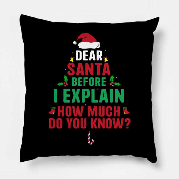 Dear Santa I Can Explain Funny Christmas Pajama Adults Kids Pillow by _So who go sayit_