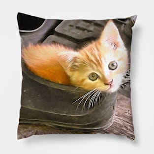 A red kitten sitting in a shoe Pillow