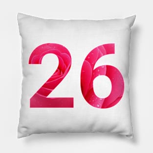 26 celebration day Pillow