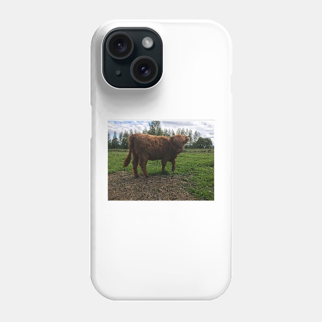 Scottish Highland Cattle Calf 2026 Phone Case by SaarelaHighland