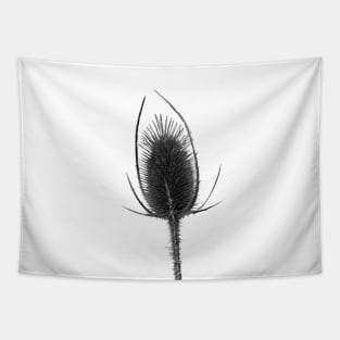 thistle Tapestry