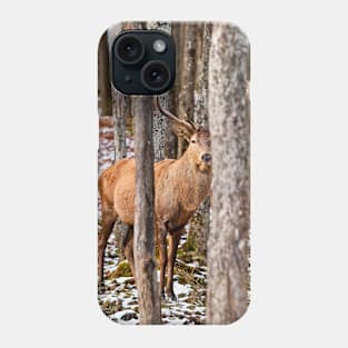 Red Deer Phone Case